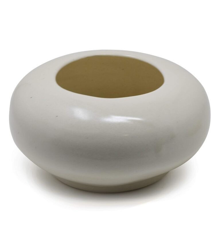 Stoneware Ceramic Bonsai Succulent Indoor Outdoor Garden Planter Plant Pot Container (White)