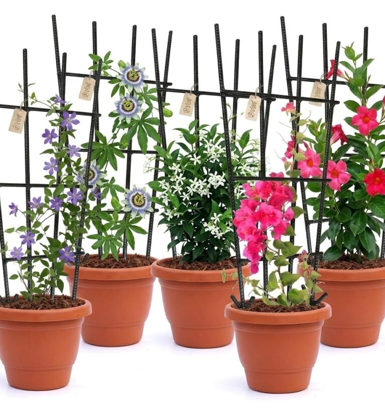 Plant Trellis - Durable Support for Climbing Plants, Vines, and Creepers, Ideal for Indoor and Outdoor Gardening Use (5)