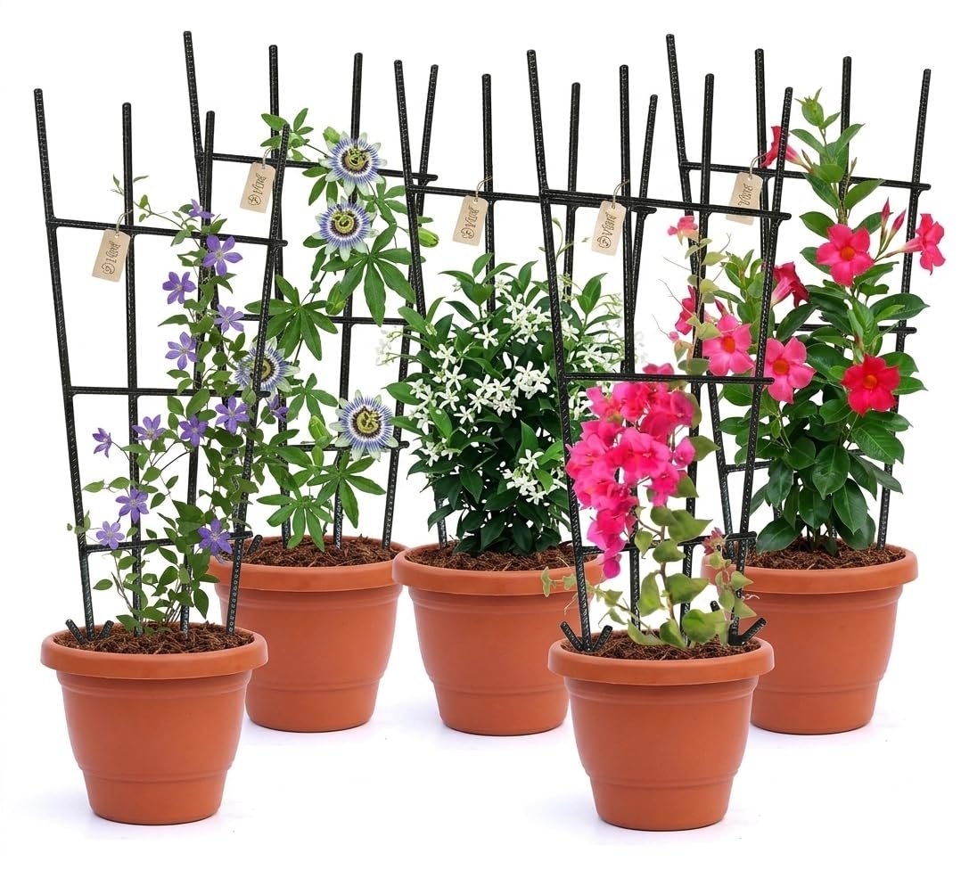 Plant Trellis - Durable Support for Climbing Plants, Vines, and Creepers, Ideal for Indoor and Outdoor Gardening Use (5)