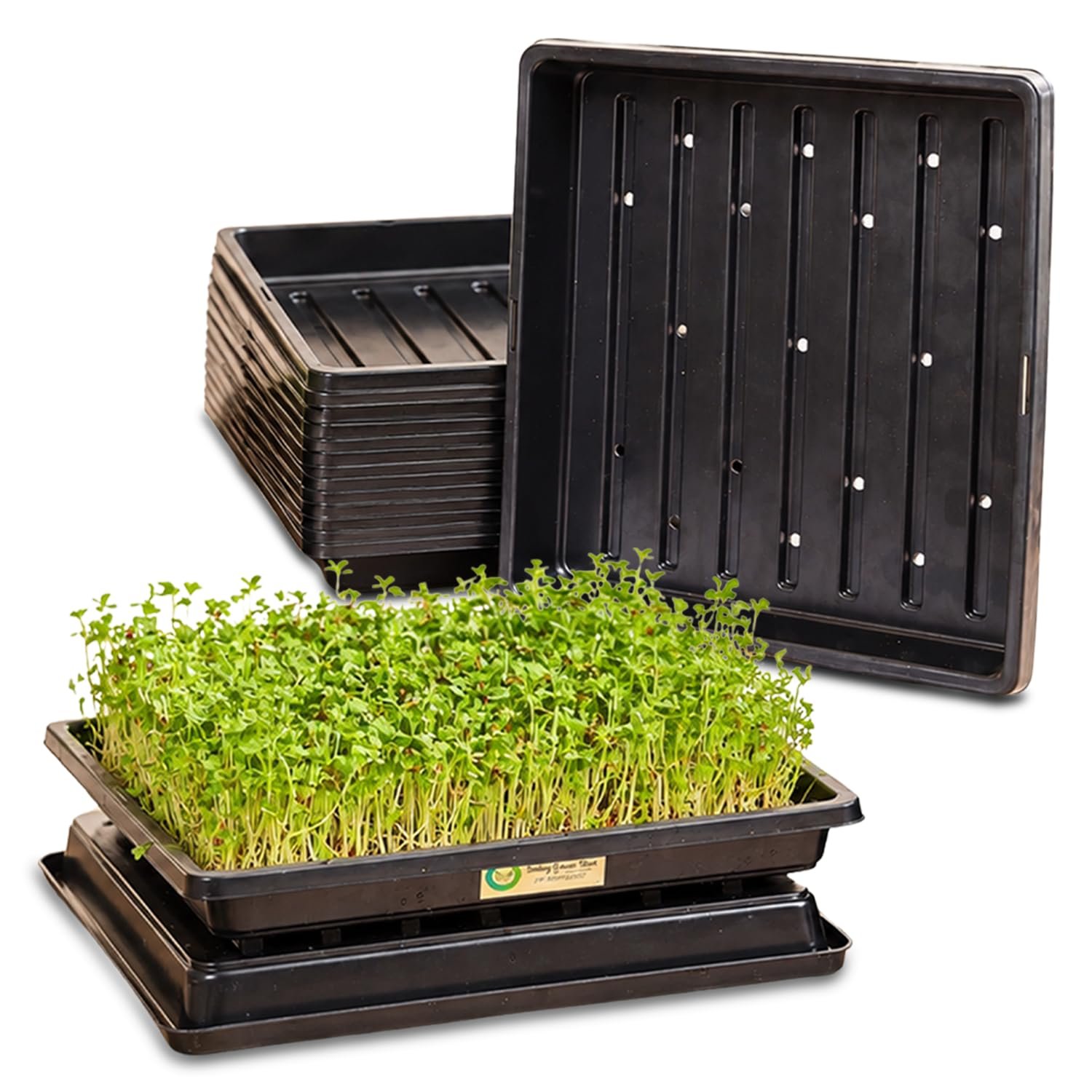 Smiling Greens 1010 Microgreens Tray Bulk Set | 10 Pairs / 20 Trays | 10 × 10 Inch | Drainage & Base Trays | Reusable Indoor Growing for Microgreens, Wheatgrass & Herbs