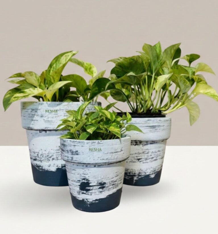 RESHA Interior & DECORTerracotta Pots for Plants Indoor Outdoor | Ashen-1 Hand Painted Terracotta Planter | Pot for Home, Balcony, Office & Garden (White, Soft Grey, Set of 3)