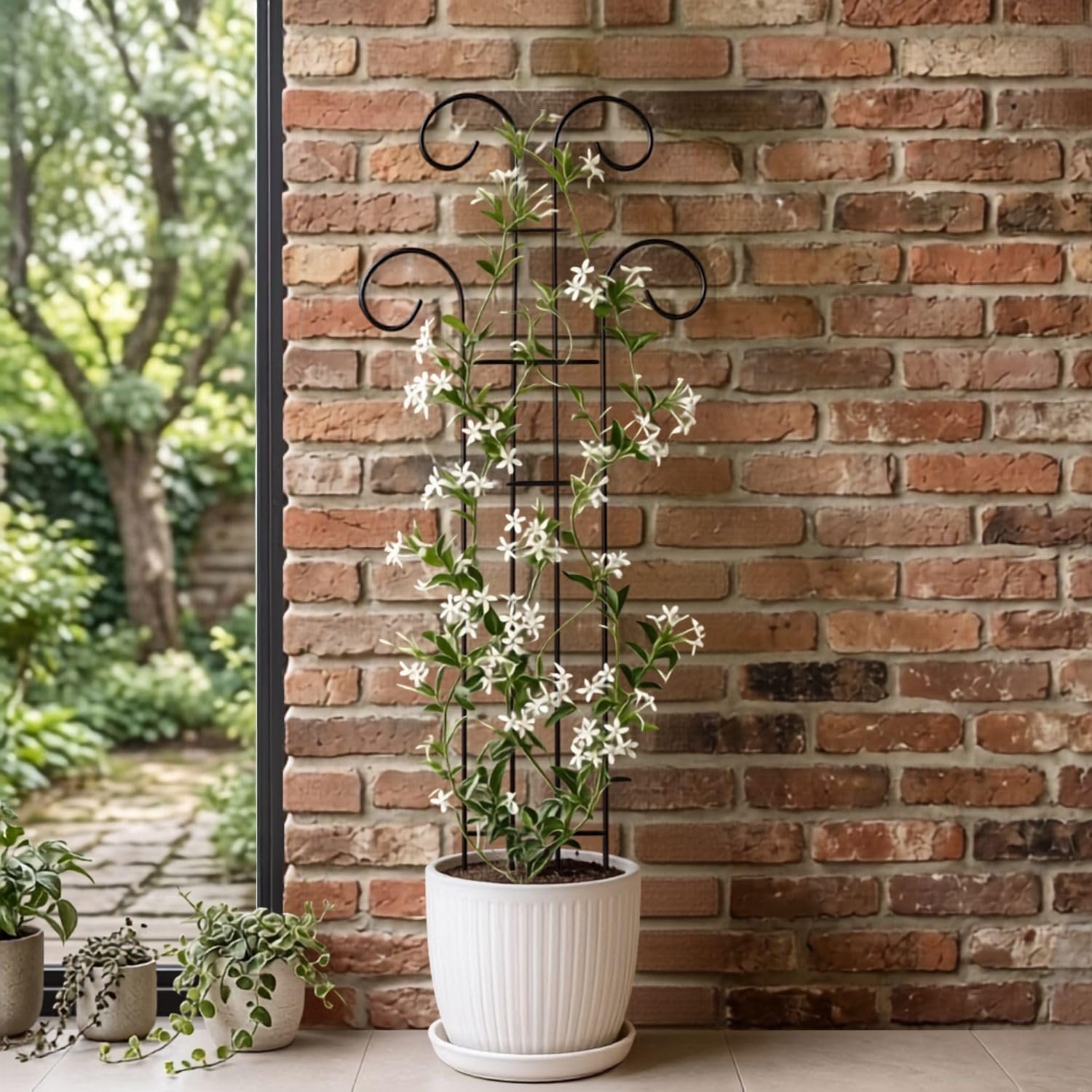 32 inch Metal Climber Plant Support Stand | Garden Trellis for Indoor & Outdoor Plants | Decorative Plant Support for Balcony, Home, Office & Living Room Décor - Black (Extra Large) - Image 5