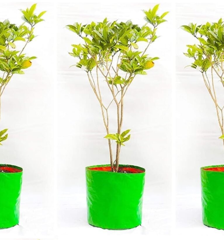 HDPE Grow Bags 18"x18" Inches Grow Bags for Home Gardening/Terrace/Balcony Gardening/Vegetable Plants for Home Gardening Big Size (Growbag_18" x18_3)