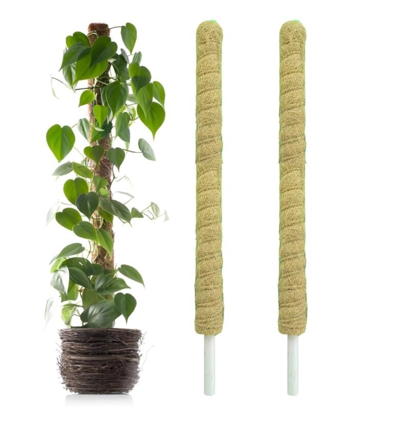 Natural Moss Stick for Climbing Plants, Strong Support for Money Plant, Monstera, Pothos, Indoor Outdoor Use, Manual, 50 Grams (2, 3 Feet)