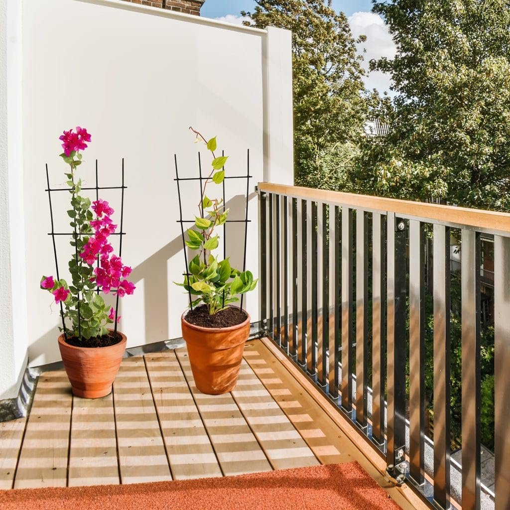 Metal Plant Trellis for Climbing Plants (Set of 3) | Plant Support for Climbers | Indoor/Outdoor | for Balcony, Living Room Decor - Image 6