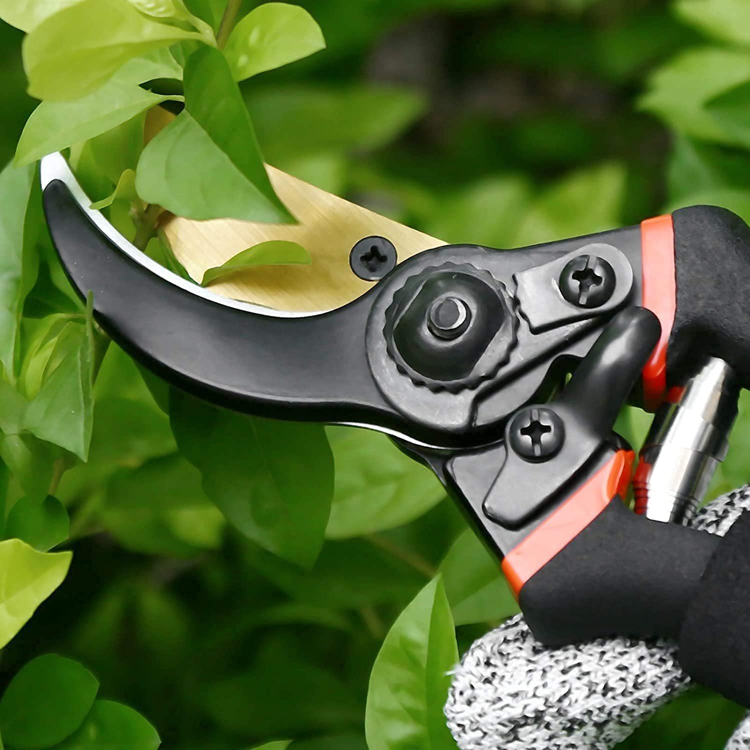 8 Inch Heavy Duty Bypass Plant Cutter for Garden, Pruners for Plants Cutting Gardening Scissors with Safety Lock, Pruning Shears for Indoor Outdoor Plants, Flower, Herb, Stem, Branch (Black) - Image 6