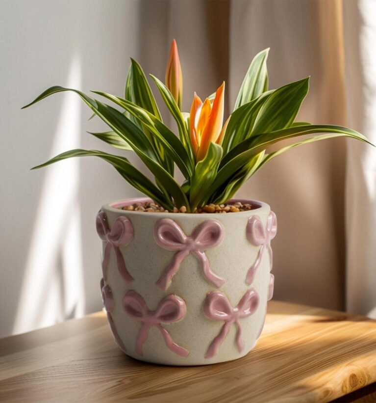 Ceramic Flower Pots for Indoor and Outdoor Plants, Succulent Orchid Round Clay and Terracotta Planter for Garden Home Modern Decoration 5.3 Inch (Pink Bow, Without Saucers)