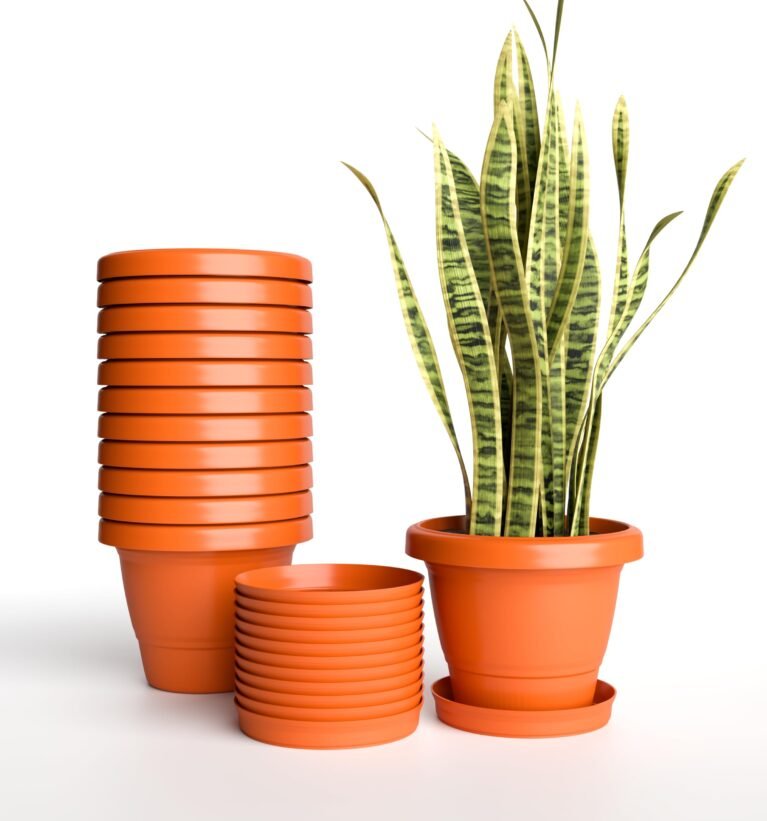 SHERA SD 10 INCH Pack of 12 with Bottom Tray Plastic Flower Pot Unbreakable Round Shape Planter for Garden Seedling Indoor and Outdoor
