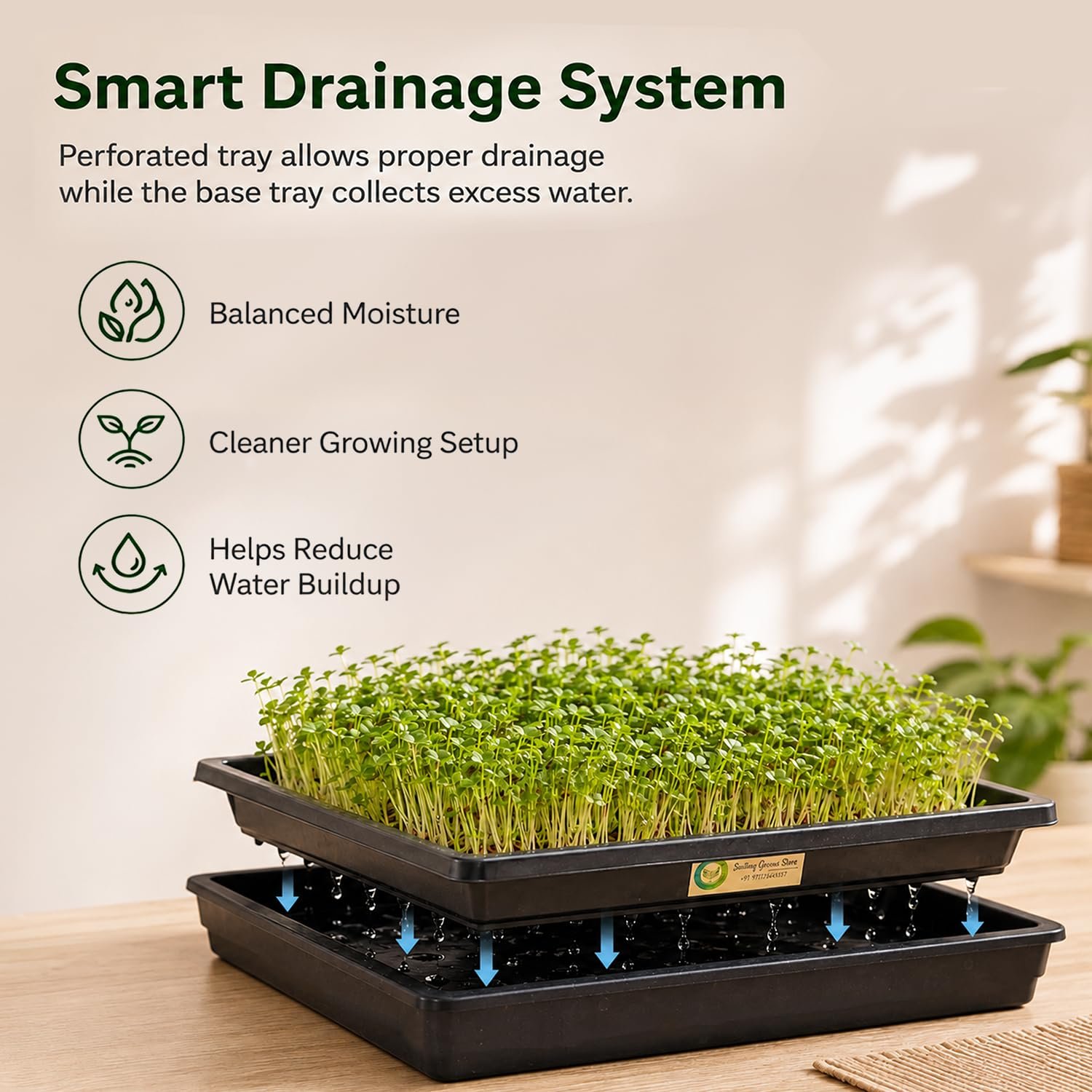 Smiling Greens 1010 Microgreens Tray Bulk Set | 10 Pairs / 20 Trays | 10 × 10 Inch | Drainage & Base Trays | Reusable Indoor Growing for Microgreens, Wheatgrass & Herbs - Image 3