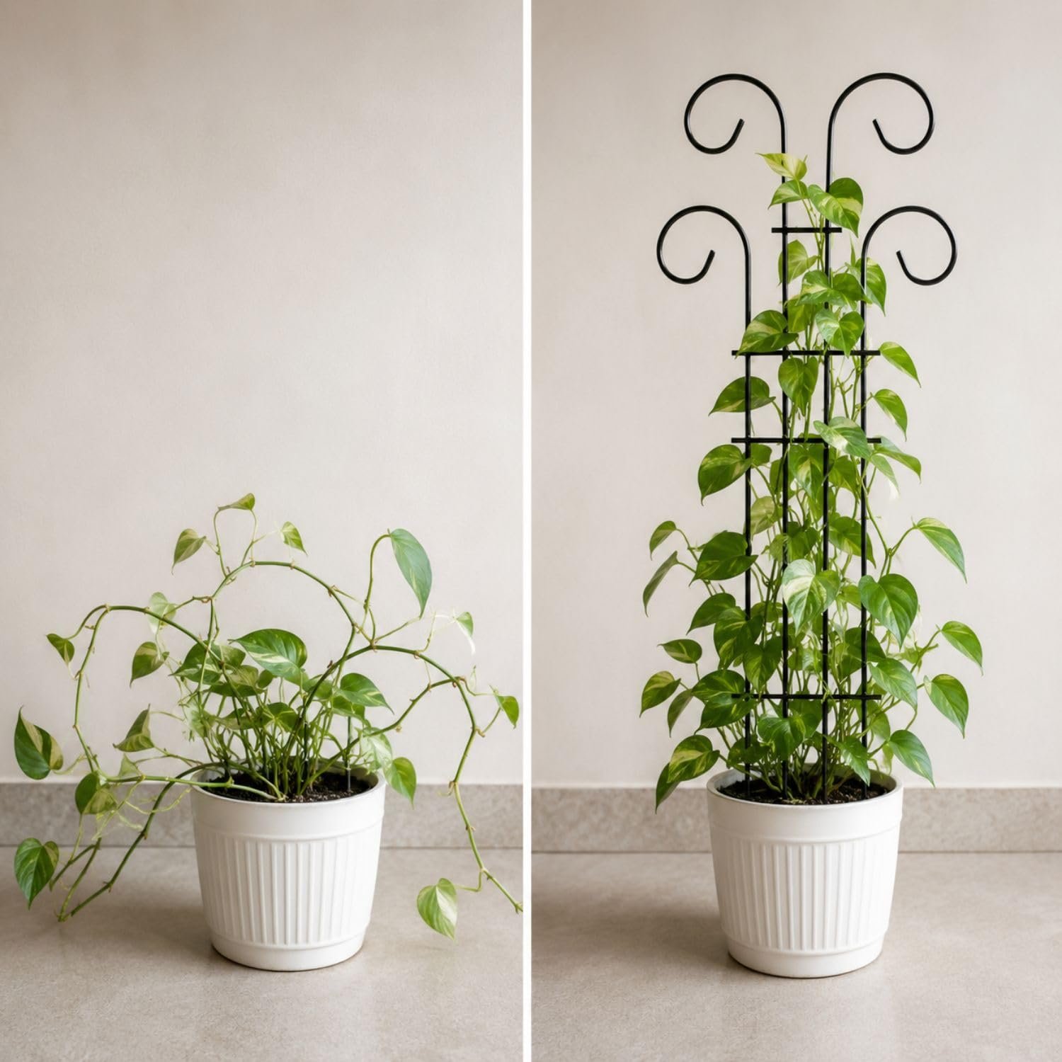 32 inch Metal Climber Plant Support Stand | Garden Trellis for Indoor & Outdoor Plants | Decorative Plant Support for Balcony, Home, Office & Living Room Décor - Black (Extra Large) - Image 2