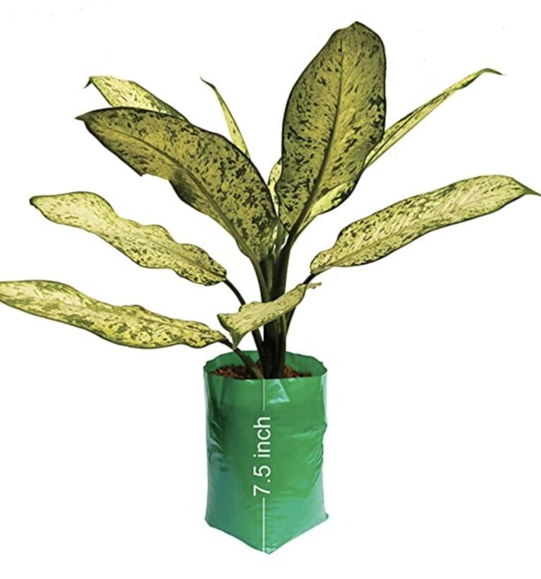 UV stabilized Green Nursery Grow Bag - Pack of 50 (Small Size)