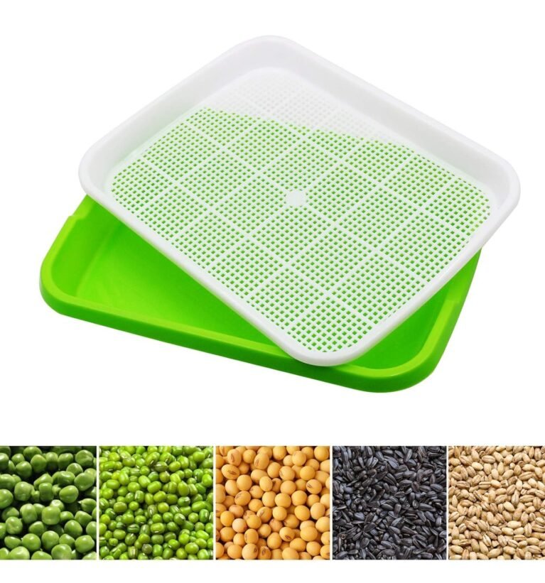 Seed Sprouter Tray Without Lid Microgreens Growing Trays Sprouts Growing Kit Propagation Trays Healthy Wheatgrass Grower Storage Sprouting Tray for Garden Home Office (1PCS)