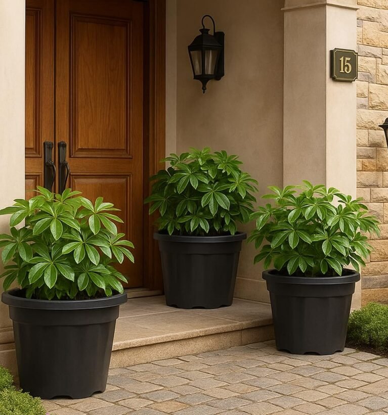 UV Treated Large Plant Pots for Big Size Plants (20 inch Black Color Set of 3 Large Planters)