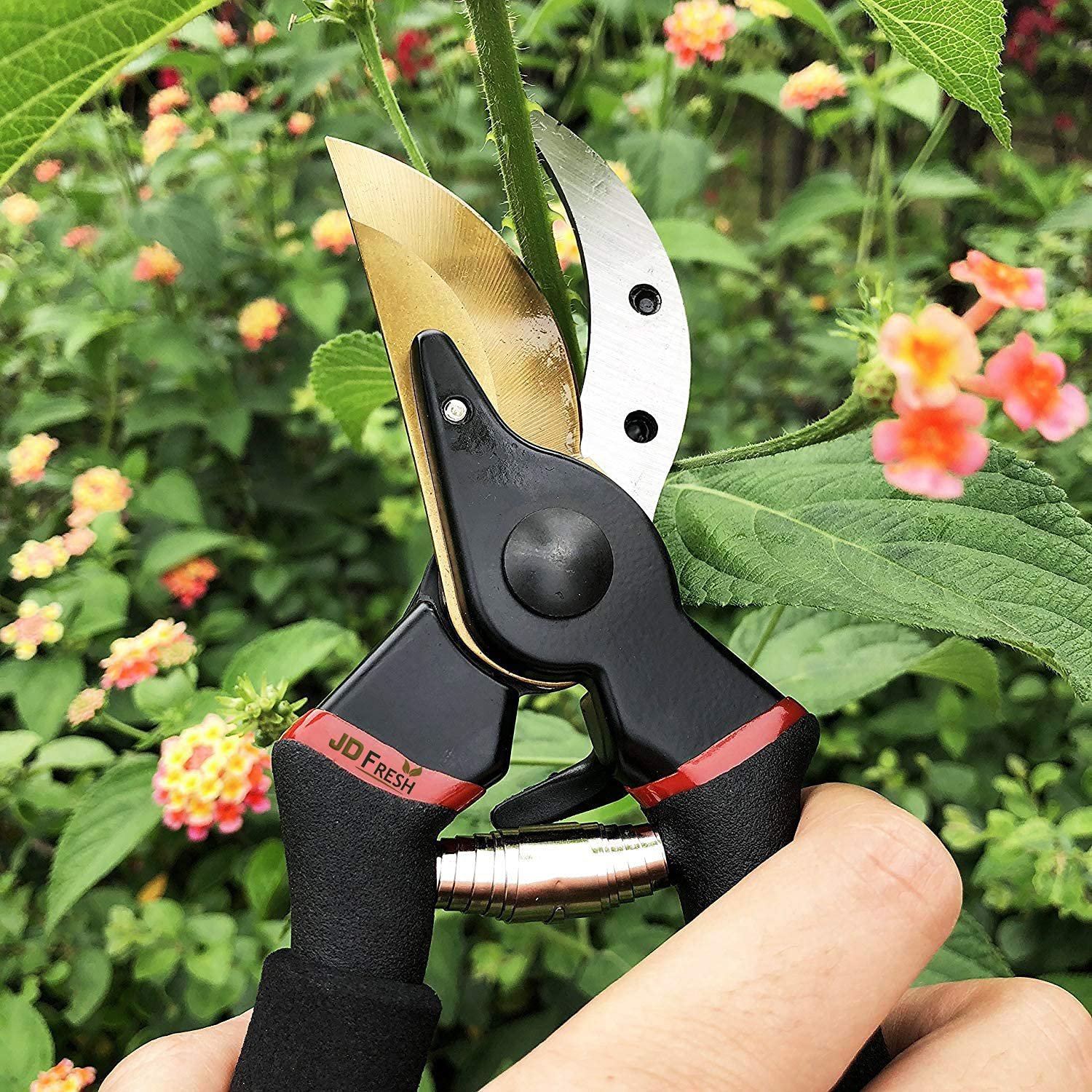 8 Inch Heavy Duty Bypass Plant Cutter for Garden, Pruners for Plants Cutting Gardening Scissors with Safety Lock, Pruning Shears for Indoor Outdoor Plants, Flower, Herb, Stem, Branch (Black) - Image 7