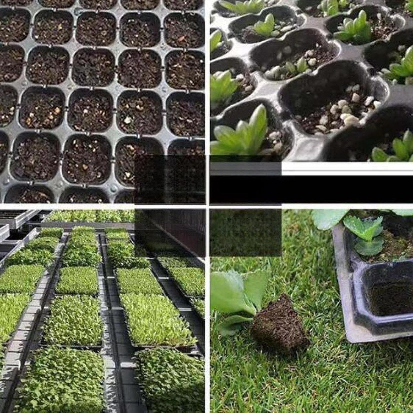 ® 10 Pieces 32 Cell Nursery Seedling Trays Multipurpose Seedling Starter Trays 80g|Multicolor|PP|Home & Garden - Image 9