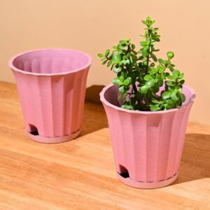 Earth Friendly Ace 7 inch Small Self Watering Pots for Indoor Plants | Set of 2 | Plant Pot Made with Bamboo Fibers | Table Top Planters for Home Decor, Flower Pot for Living Room | Innocent