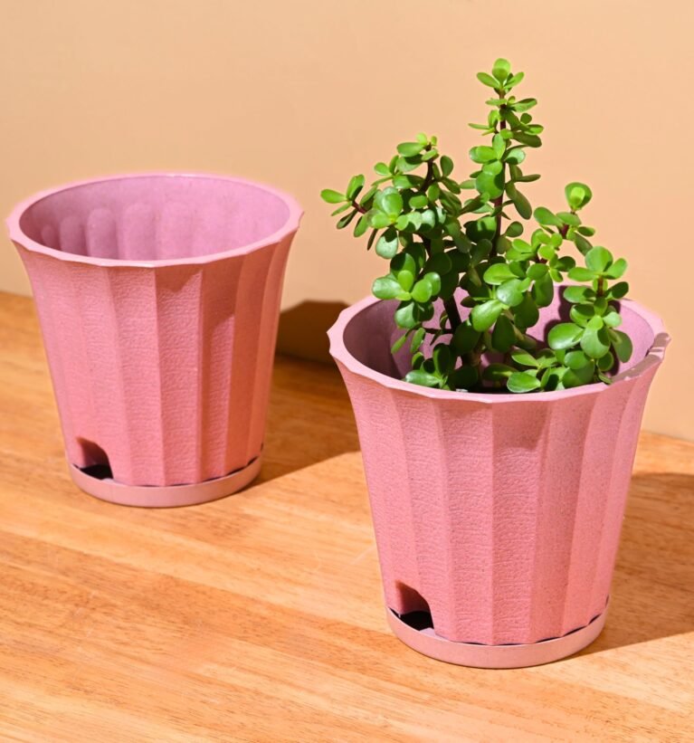 Earth Friendly Ace 7 inch Small Self Watering Pots for Indoor Plants | Set of 2 | Plant Pot Made with Bamboo Fibers | Table Top Planters for Home Decor, Flower Pot for Living Room | Innocent