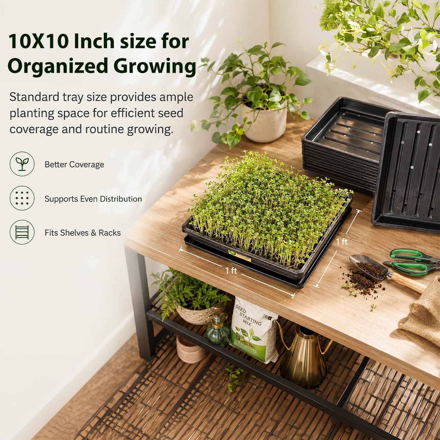 Smiling Greens 1010 Microgreens Tray Bulk Set | 10 Pairs / 20 Trays | 10 × 10 Inch | Drainage & Base Trays | Reusable Indoor Growing for Microgreens, Wheatgrass & Herbs - Image 5