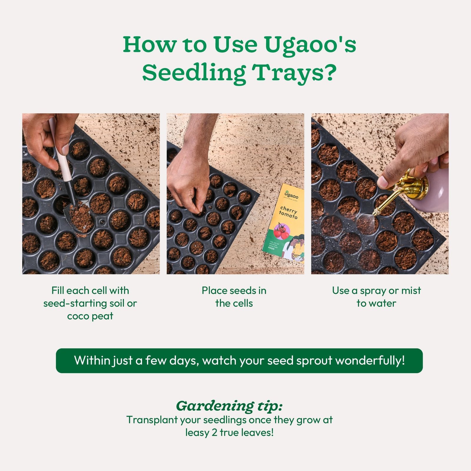 Reusable Seedling Tray - Pack of 3 (Black, 50 Holes/Tray) | Durable Plastic Germination Trays with Drainage Holes | Ideal for Seed Starting, Greenhouse, and Indoor Gardening - Image 5