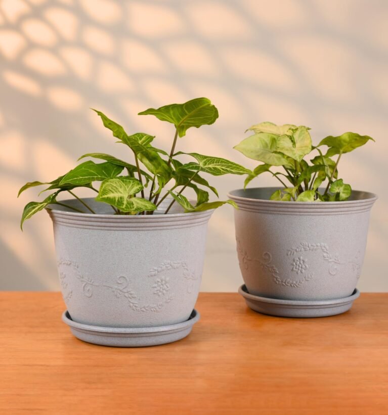 Earth Friendly 8" Leafy Planter with Tray Made with Rice Husk, 2 Units