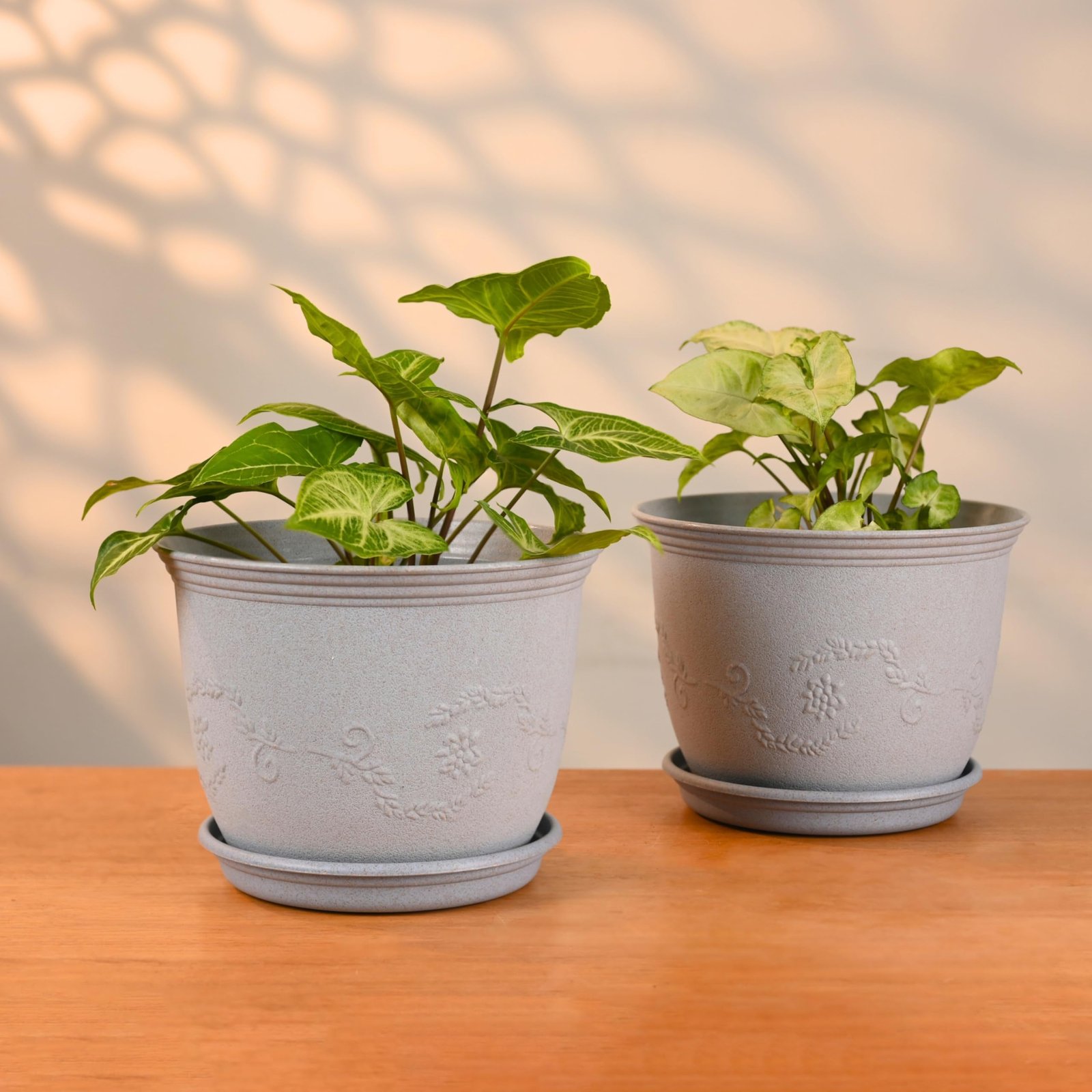 Earth Friendly 8" Leafy Planter with Tray Made with Rice Husk, 2 Units