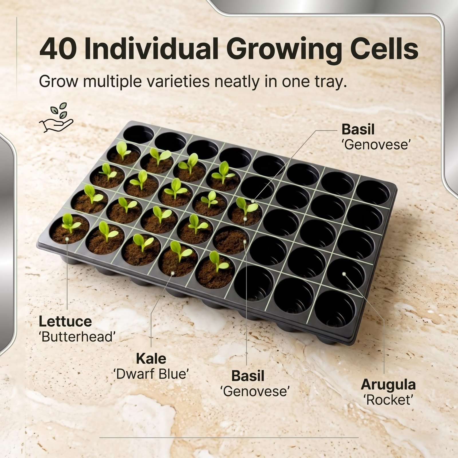 40 Cavity Big Size Seed Germination Tray, Set of 10 - Image 2