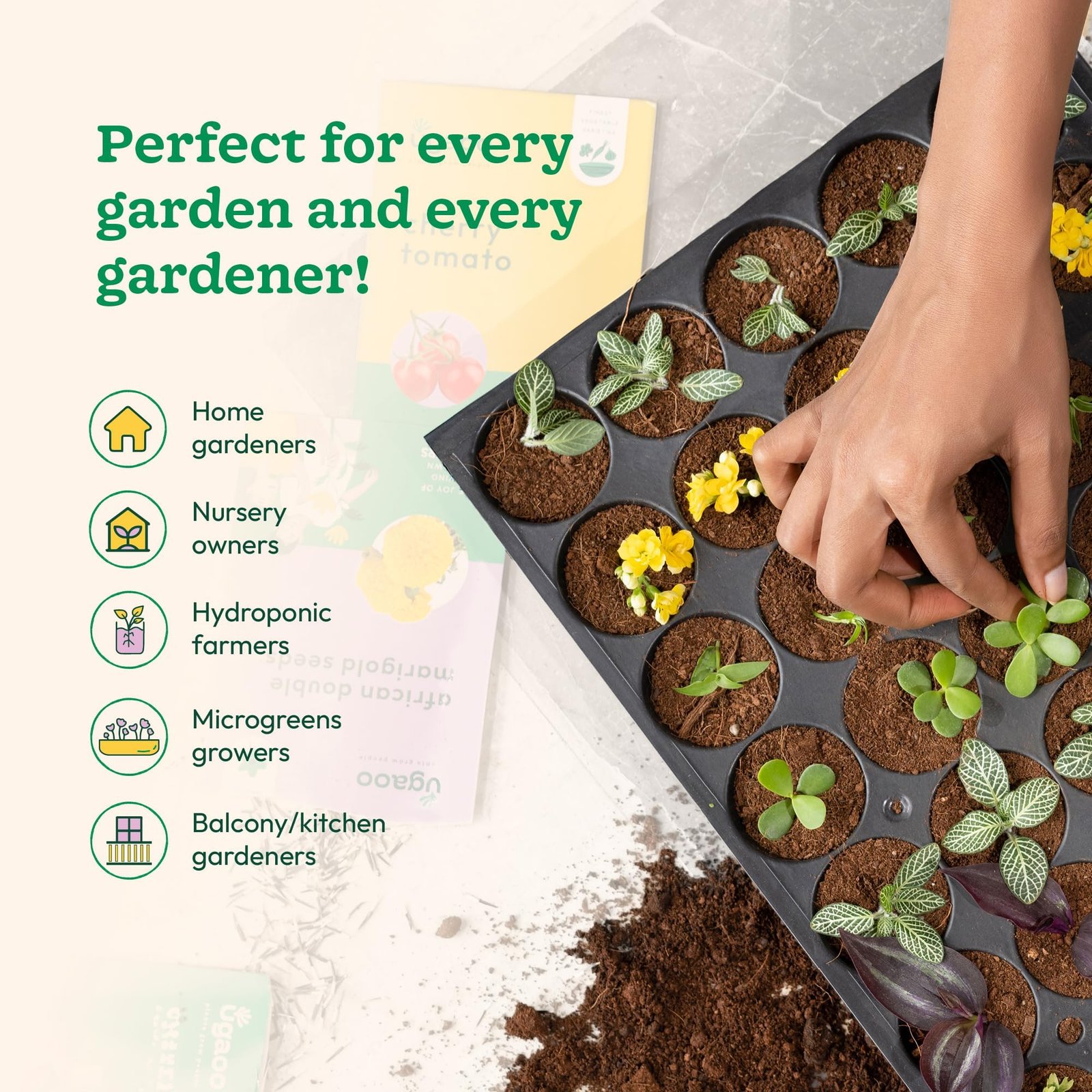 Reusable Seedling Tray - Pack of 3 (Black, 50 Holes/Tray) | Durable Plastic Germination Trays with Drainage Holes | Ideal for Seed Starting, Greenhouse, and Indoor Gardening - Image 3