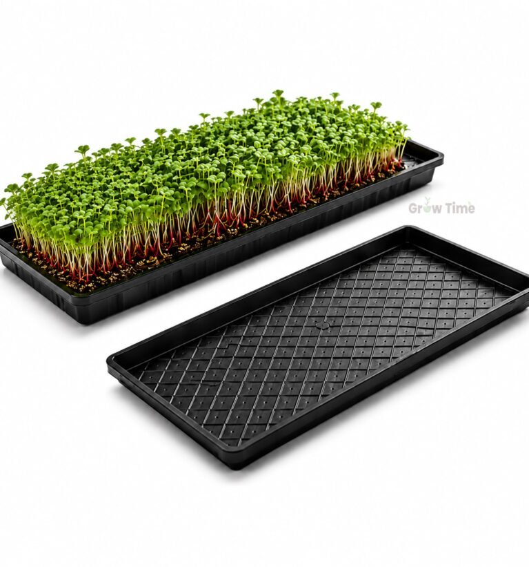 Microgreen Growing Trays, Wheat Grass & Seedling Tray