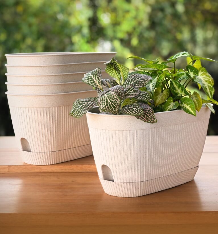 Earth Friendly Eva 11.5 inch Self Watering Pots for Plants | Bamboo Based Plant Pots | Pack of 6 | UV Protected Planters for Home décor Indoor, Outdoor, Balcony & Garden Flower pots | Sand Castle