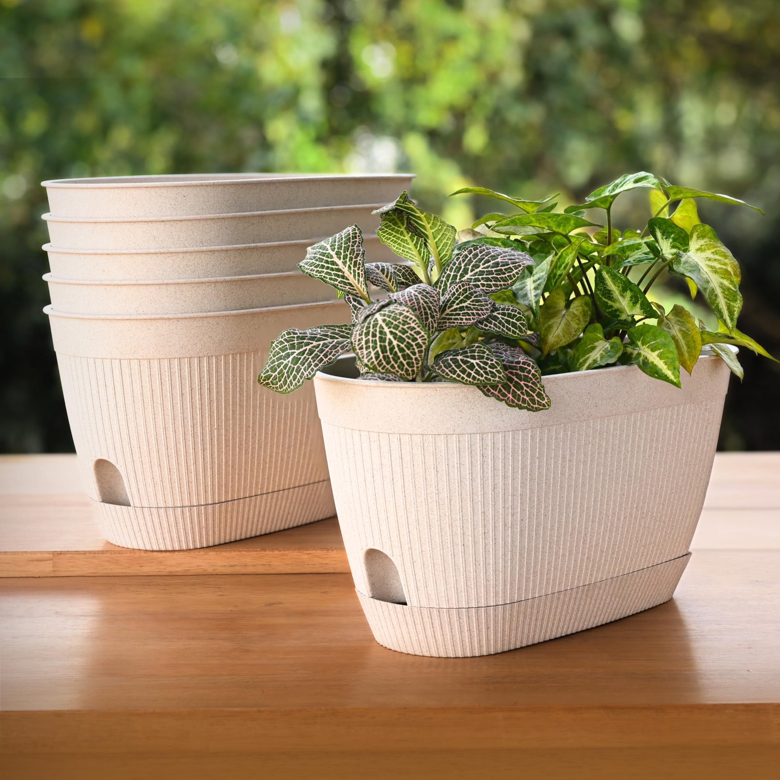 Earth Friendly Eva 11.5 inch Self Watering Pots for Plants | Bamboo Based Plant Pots | Pack of 6 | UV Protected Planters for Home décor Indoor, Outdoor, Balcony & Garden Flower pots | Sand Castle